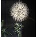 Candelabru Explosion Silver 600, 16 surse de iluminare